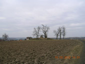 Fotku #5 vystavil: Senior43